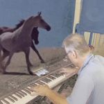 Robert Rodenburg - @robert.rodenburg - Instagram