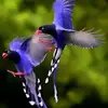 Robert Roehm - @robertroehm - TikTok