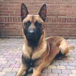 Robert Roelofs - @roelofsrobert - Instagram