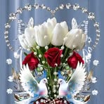 Robert Rollxy - Facebook