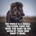 Robert Rollian - Facebook