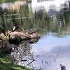 robertromaine801 - @robertromaine801 - TikTok