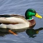 Robert Romanski - @robert_romanski - Instagram