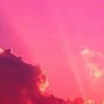 Robert Ronkowski - @ronkowskirobert - Instagram
