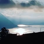 Robert Roos - @roos466 - Instagram