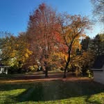 Robert Roos - @rooslawncare - Instagram