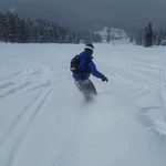 Robert Roose - @r.rooster23 - Instagram