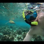 Robert Roose - @roberteroose - Instagram