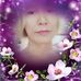 Robert Root - Facebook