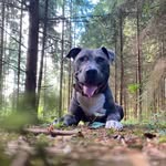 Robert Rosch - @robert2rosch - Instagram