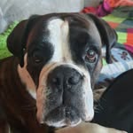 Robert Roscher - @robertroscher - Instagram