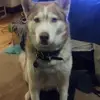 Robert Rose - @robert.rose852 - TikTok