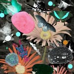 Robert Rosenau - @o.r.r.o - Instagram