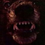 Robert Rosinski - @biladyn402 - Instagram