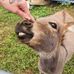 Rosalind Ann Roberts - Facebook