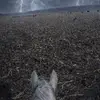 Robert Ross - @cowboss1586 - TikTok