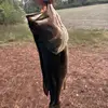 🦌🦆Ross77🦆🦌 - @rossroberts40 - TikTok