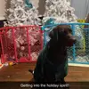 RobertRosseon - @robertrosseon - TikTok