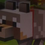 Robert Rourke - @animalmonkey14 - Instagram