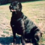 Robert Rouse - @weiner61 - Instagram