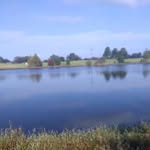 Robert Rowden - @robert.rowden.520 - Instagram