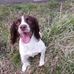 Robert Rowell - Facebook
