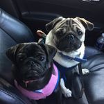 Robert Ruby - @robert.ruby__ - Instagram