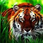 Robert Ruciński - @rucinskirobert45 - Instagram
