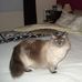 Robert Ruehl - Facebook
