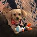 Robert Ruffner - Facebook