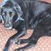 Robert Ruffner - Facebook