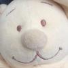 robert.deruiter - @robert.deruiter - TikTok