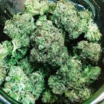 @robertrumble166 - Instagram