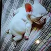 robertrumble952 - @robertrumble952 - TikTok