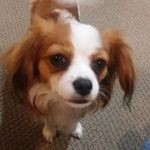 robertrumble - @robertrumble8166 - Instagram