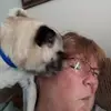 Roberts_Rumble - @roberts_rumble - TikTok