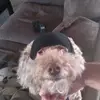 robertjtrumpler - @robertjtrumpler - TikTok