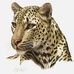 Robert Ruthenberg - Facebook