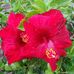 Robert Ruthenberg - Facebook