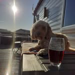 Robert Rutt - @ruttrobert - Instagram