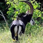 Robert Rutto - @robert_rutto - Instagram