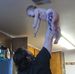 Robert Rials - Facebook