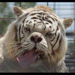 Robert Sackey - @robert.s_1705 - Instagram