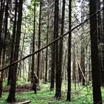 Роберт - @robert_salakhyan - Instagram