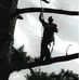 Robert Salsberry - Facebook