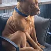 Robert_Salsman - @robert_salsman - TikTok