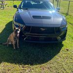 Robert Saltsman - @saltsmanrobert_ - Instagram