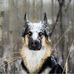 Robert Salvesen - Facebook