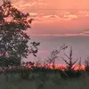 robert salyer - @robert.salyer8 - TikTok