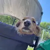 Robert Salzman - @robertsalzman27 - TikTok